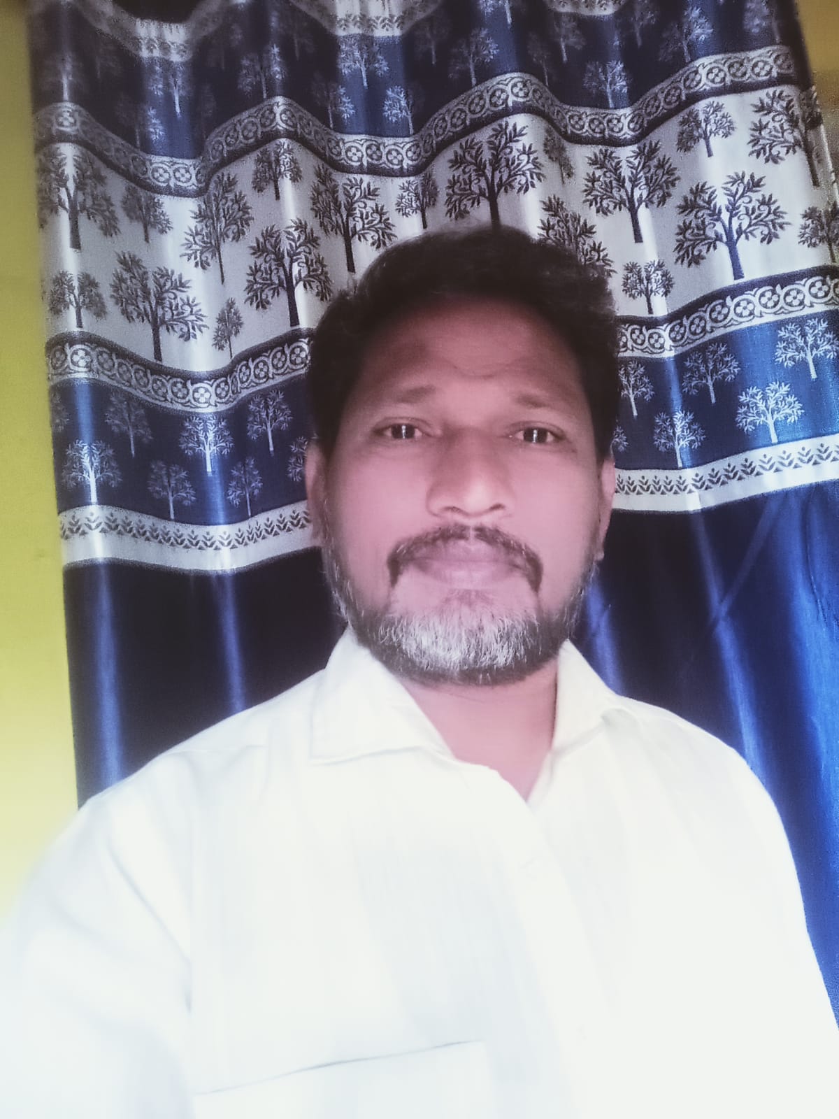 Team Image